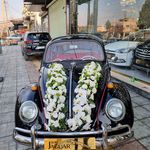 تشریفات مجالس ویژن