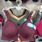 لباس زیر کاکتوس