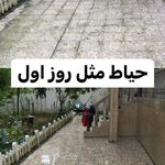 کفسابی الماس گیلان