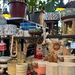 فروش گياه گلخانه زيتون