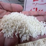 شهر برنج شامینو