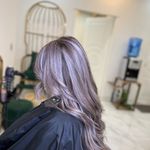 رنگ و لایت سلیمانی