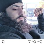 شفای هومر گیاهان دارویی عطاری حجامت طب
