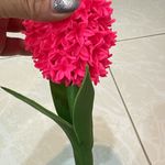 دلنیا دیزاینر
