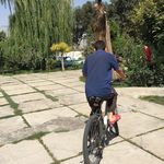 مرکزبستری و درمان بیماران اعصاب و روان