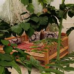 کافه باغ رستوران هیوا