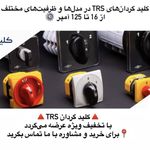 برق صنعت کرمانیان