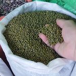 فروش حبوبات اعلا