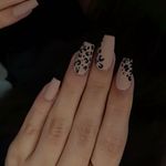 سالن زیبایی گلشید