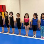 مدرسه ژیمناستیک ماهانا