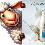 چاپ و تبلیغات سلکت (سفارش آنلاین)