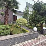 گل و گیاه سفیر سبز