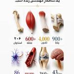 محصولات ارگانیک و تخصصی فوراور امریکا
