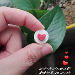 محصولات خانگی قندونه