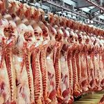 پروتئین طهران