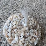 بازرگانی سنگ نیک