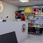 کلینیک دامپزشکی رد کارپت