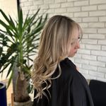 خدمات تخصصی رنگ و لایت و پروتئین پایروند