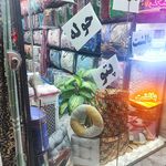 کالای خواب ترمه