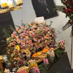 فینگرفود فاطی