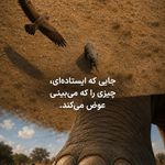 باشگاه بوکس علی پارسا