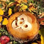 تیام مارکت فروشگاه گردوعسل وخشکبار