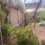 پانسیون خانگی حیوانات شادی