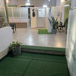 کلینیک حیوانات خانگی و پرندگان زینتی هما