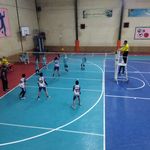 آکادمی والیبال آراکو