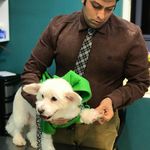 کلینیک دامپزشکی و پت شاپ گیلانا