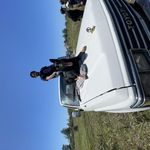 مربی سگ های خانگی و کار طاها اسماعیلیان