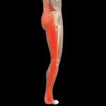 فیزیوتراپی مرکزی شرق (تهران)