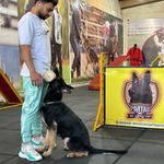 مربی سگ اصفهان ، باشگاه تربیت سگ پارتاک