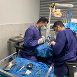 کلینیک دندانپزشکی مهرِنو