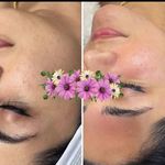 پاکسازی و فیشال لی لی