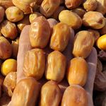 فروش عمده پسته در رفسنجان