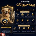 آتیه سازان بیمه سامان شیراز