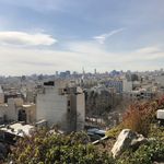 محمد حمیدیان وکیل پایه یک دادگستری