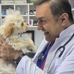 کلینیک دامپزشکی دکتر پُرکار