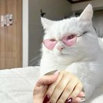 آرایشگاه زنانه نگارگر