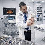 کلینیک دامپزشکی دکتر حمید داودی نیا