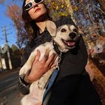 تربیت سگ ها آتوسا همتی