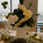 گل آرایی مانیا ایونت