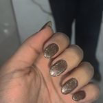 پریسا عبدالهی (مدرس ژل و پودر),ناخنکار