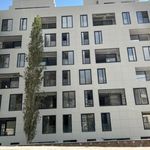 پیمانکاری و ساخت و ساز اسکلت محمدی