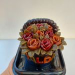 آنلاین شاپ لواشک مشهد رهنما😋