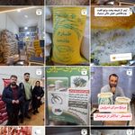 برنج سرای شروین