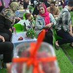 کودکستان و پیش دبستان شاخه طوبی