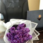 بنگاه تبلیغاتی تارماوب