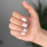 اکستنشن مژه و ناخن شقایق